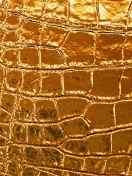 Sfondi Golden Crocodile Leather 132x176