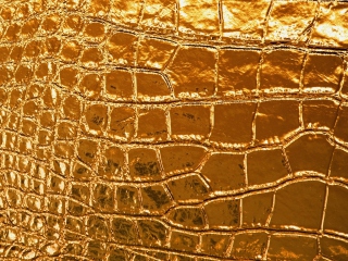 Fondo de pantalla Golden Crocodile Leather 320x240