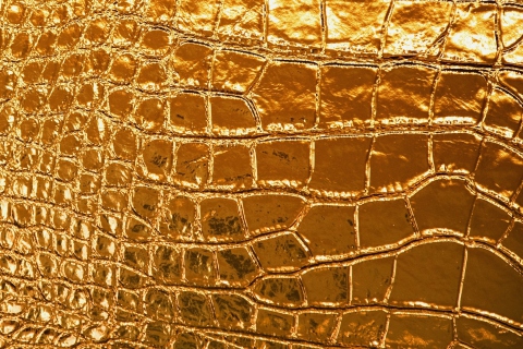 Screenshot №1 pro téma Golden Crocodile Leather 480x320