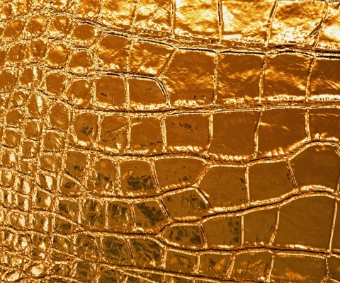 Screenshot №1 pro téma Golden Crocodile Leather 480x400