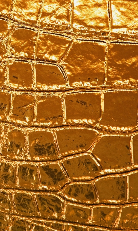 Das Golden Crocodile Leather Wallpaper 480x800