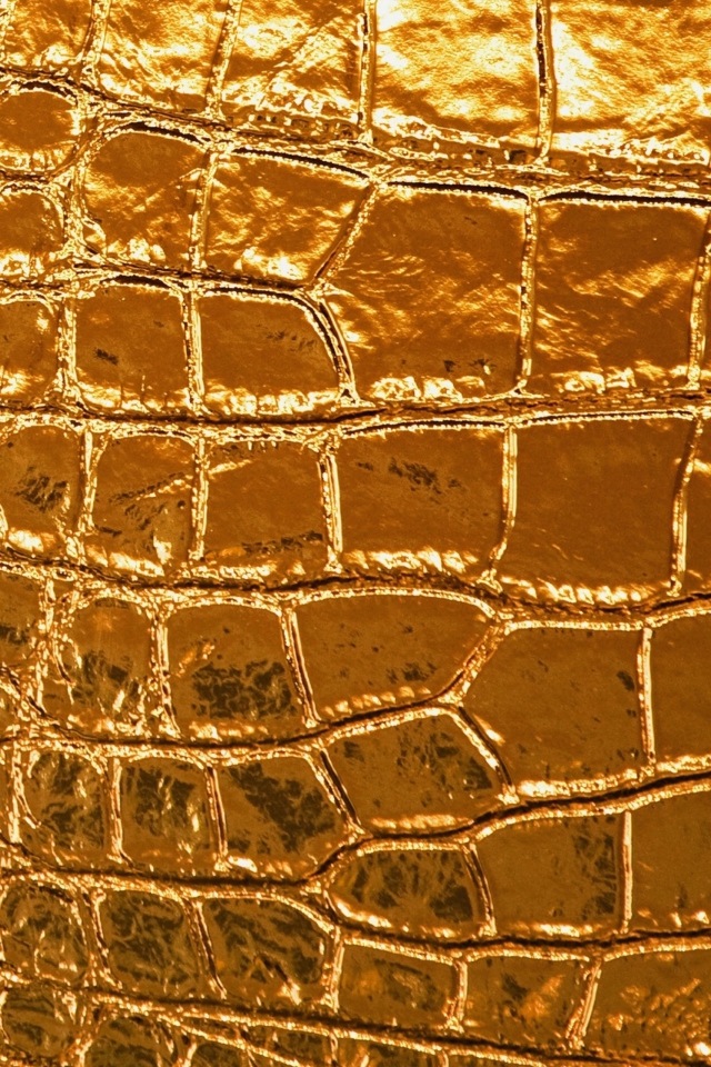 Screenshot №1 pro téma Golden Crocodile Leather 640x960