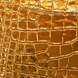 Kostenloses Golden Crocodile Leather Wallpaper für iPad mini