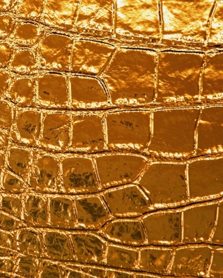 Golden Crocodile Leather - Obrázkek zdarma pro Nokia Asha 300