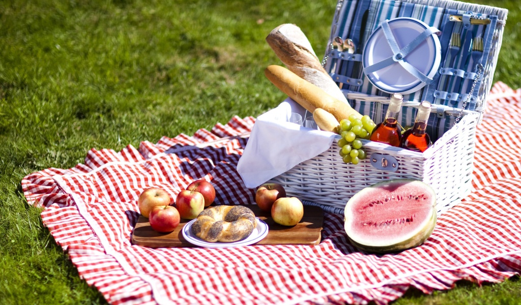 Fondo de pantalla Summer Picnic 1024x600