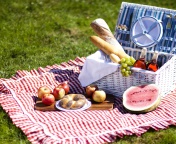 Fondo de pantalla Summer Picnic 176x144