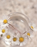 Little Daisies In Vase screenshot #1 128x160
