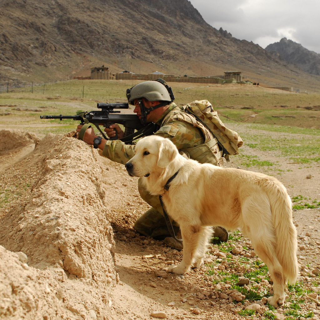 Das Soldier With Dog Wallpaper 1024x1024