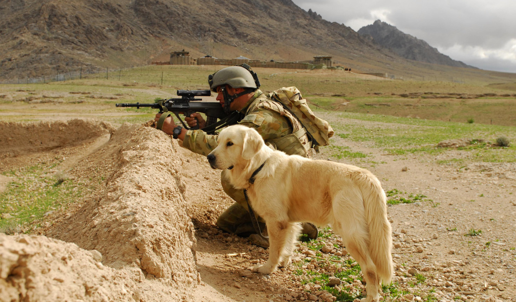 Обои Soldier With Dog 1024x600