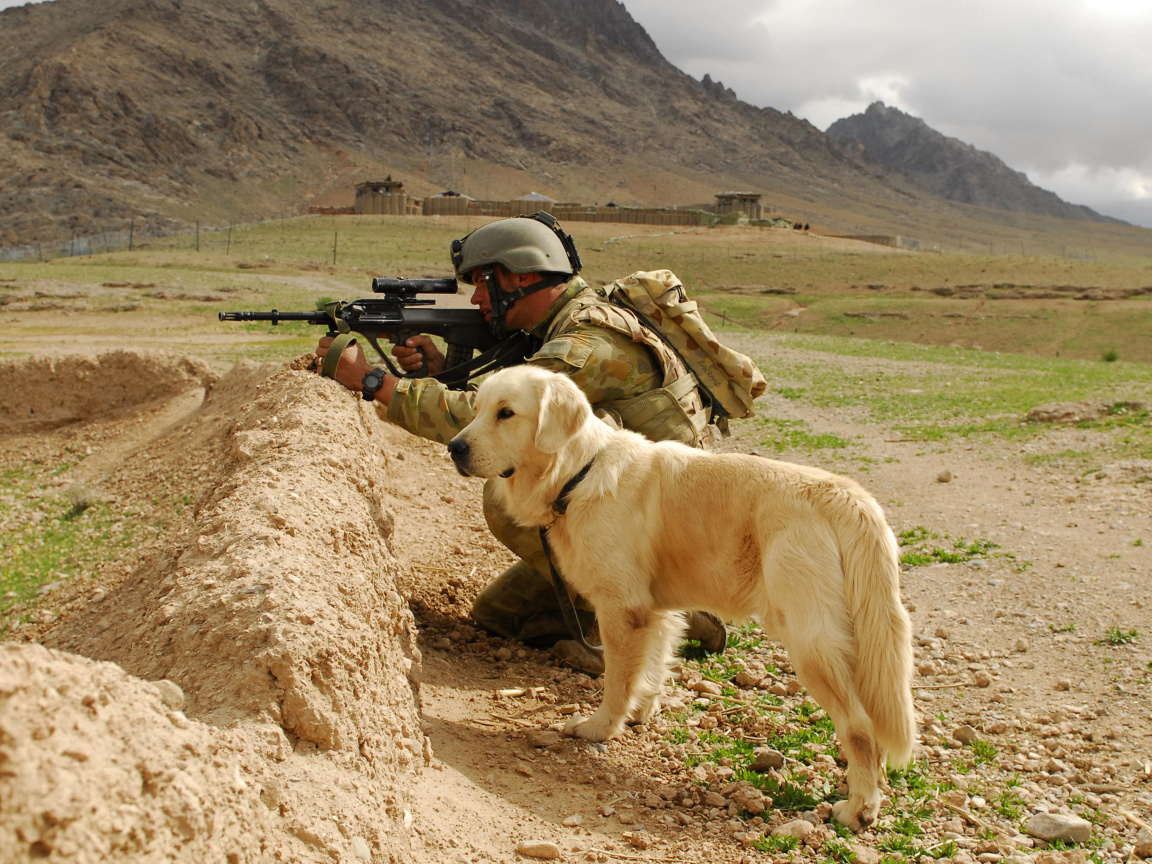 Fondo de pantalla Soldier With Dog 1152x864