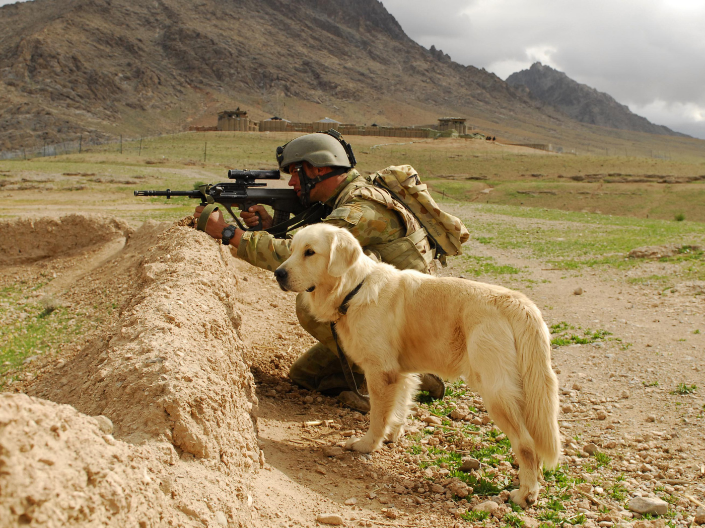 Soldier With Dog wallpaper 1400x1050
