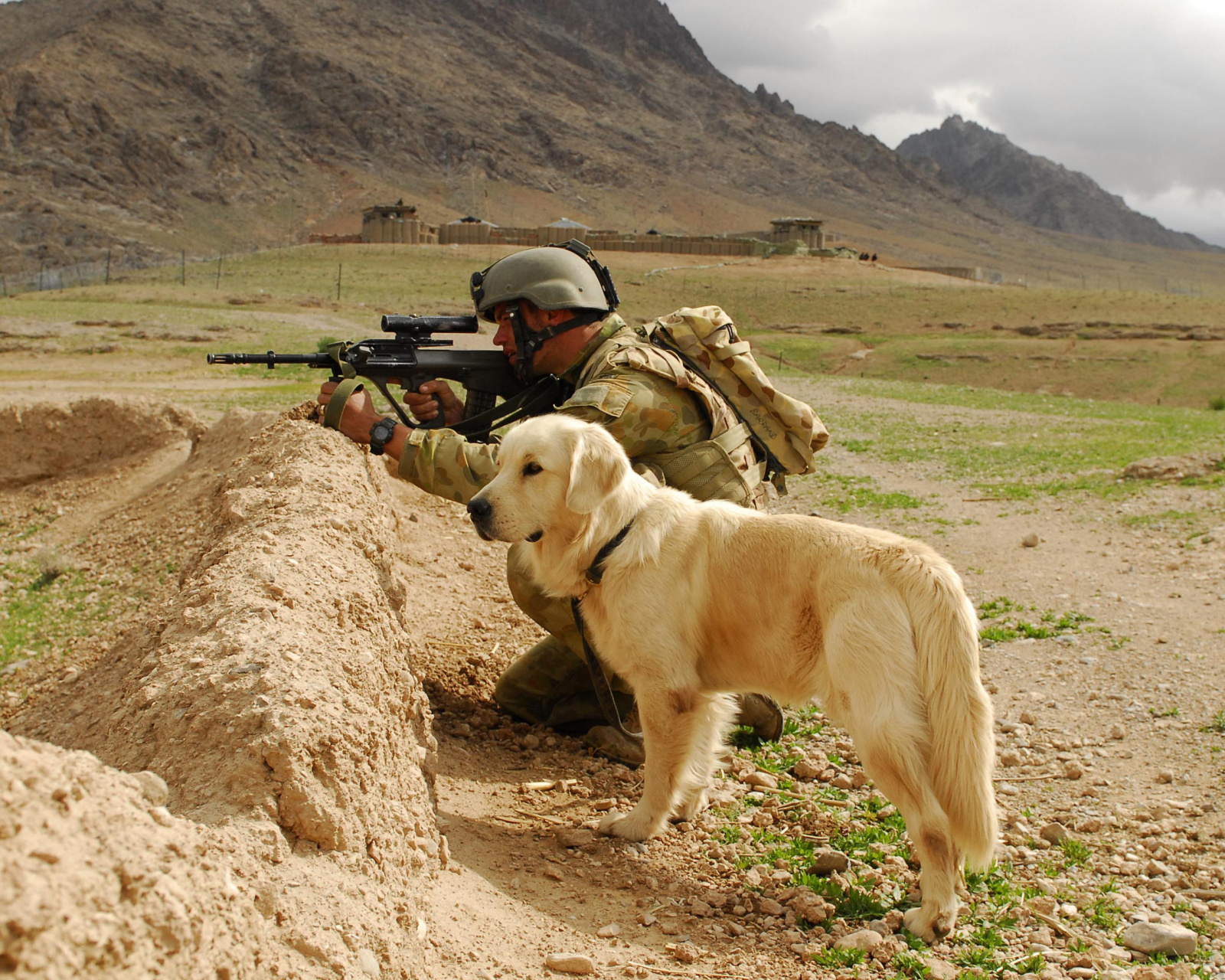 Das Soldier With Dog Wallpaper 1600x1280