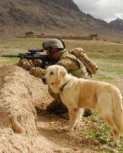 Обои Soldier With Dog 176x220