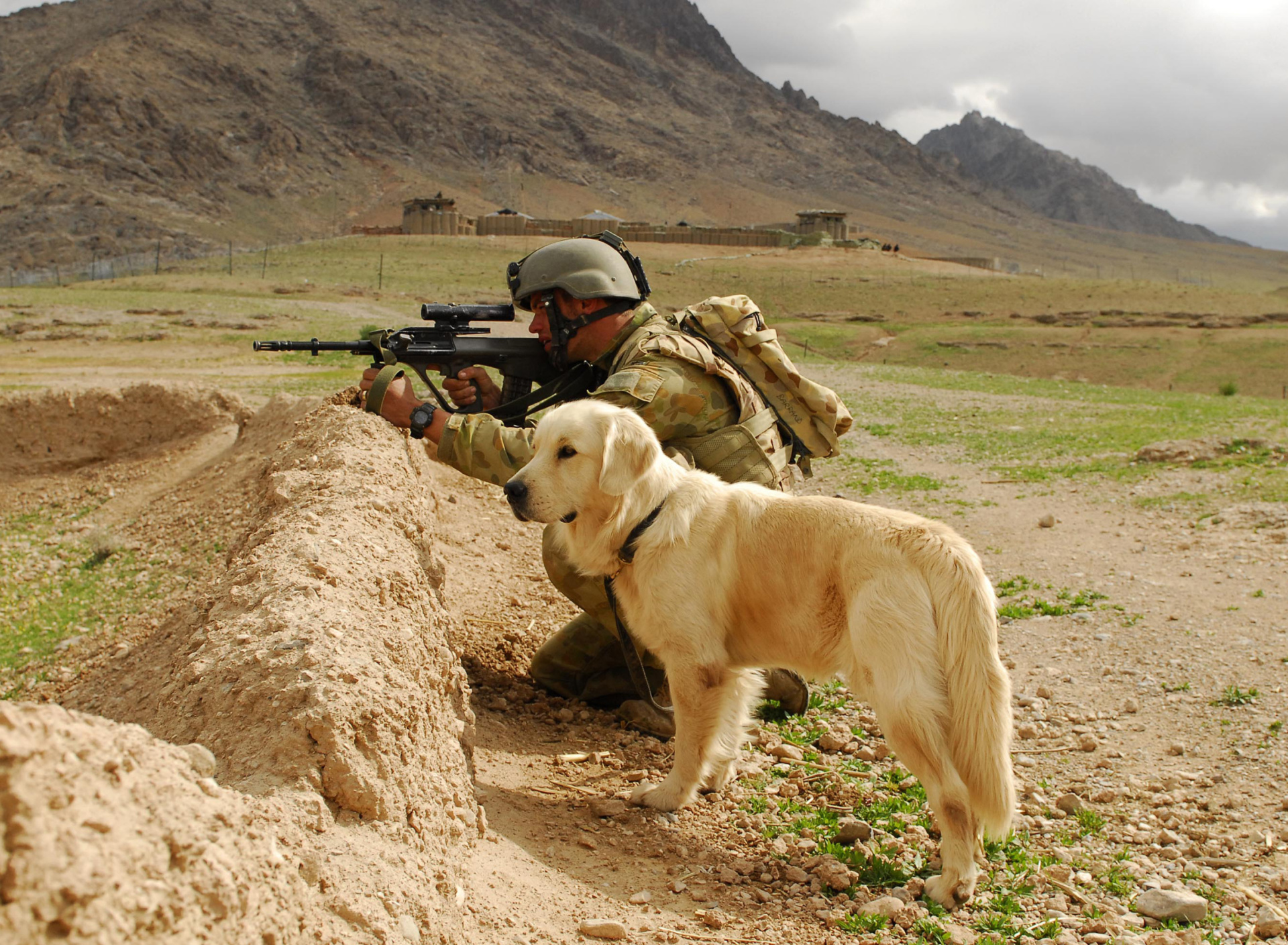 Обои Soldier With Dog 1920x1408