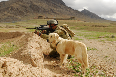 Fondo de pantalla Soldier With Dog 480x320