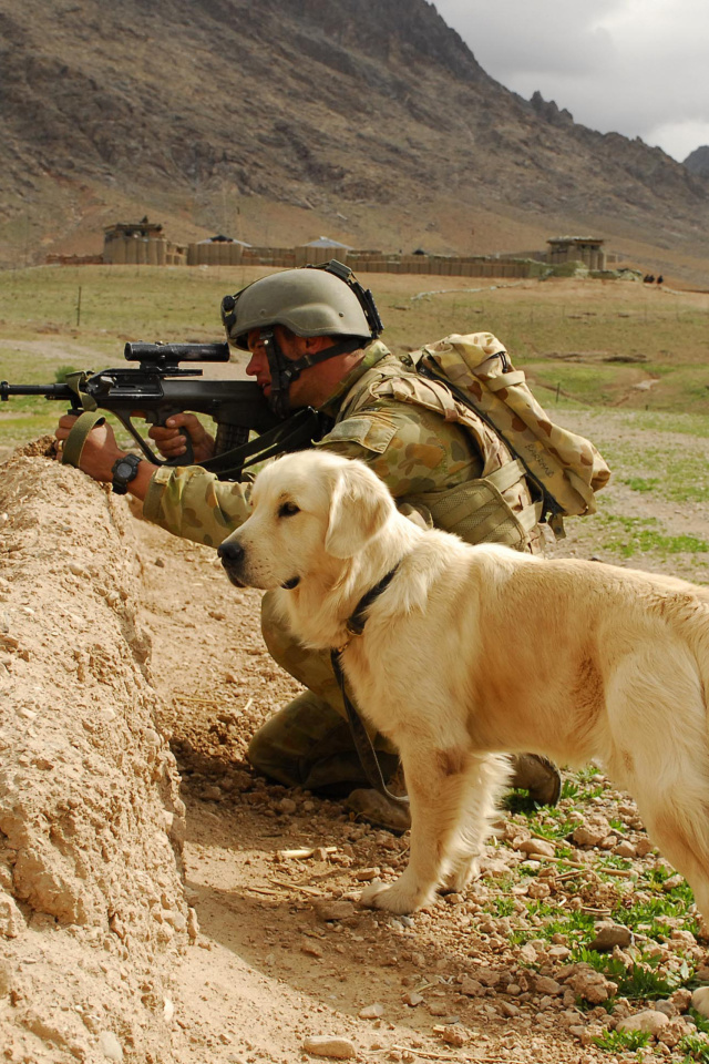 Обои Soldier With Dog 640x960