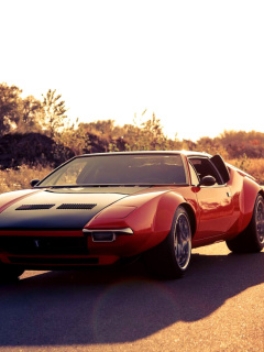 Screenshot №1 pro téma De Tomaso Pantera with Cleveland Engine 5.8 L 240x320