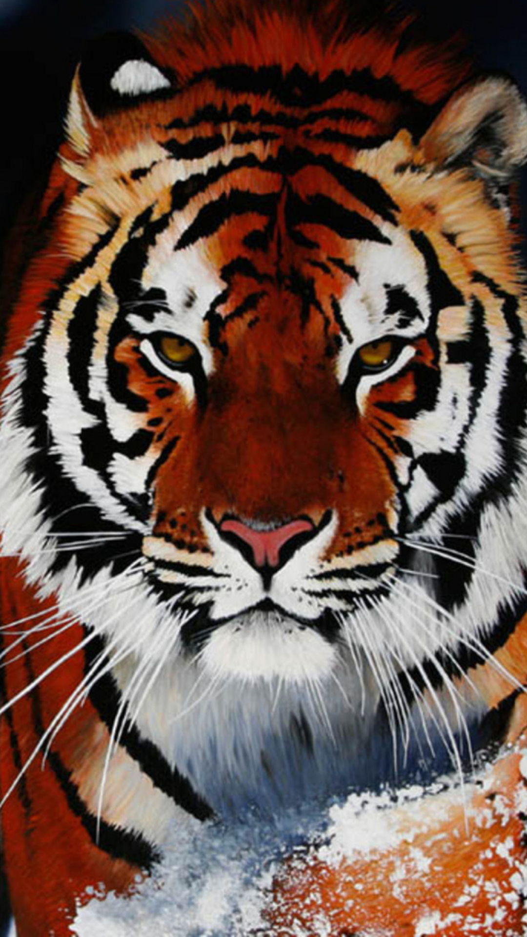 Cute Tiger wallpaper 1080x1920