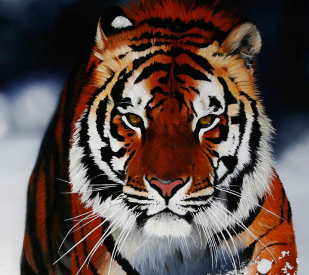 Cute Tiger wallpaper 1080x960