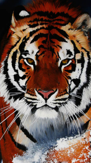 Cute Tiger wallpaper 360x640