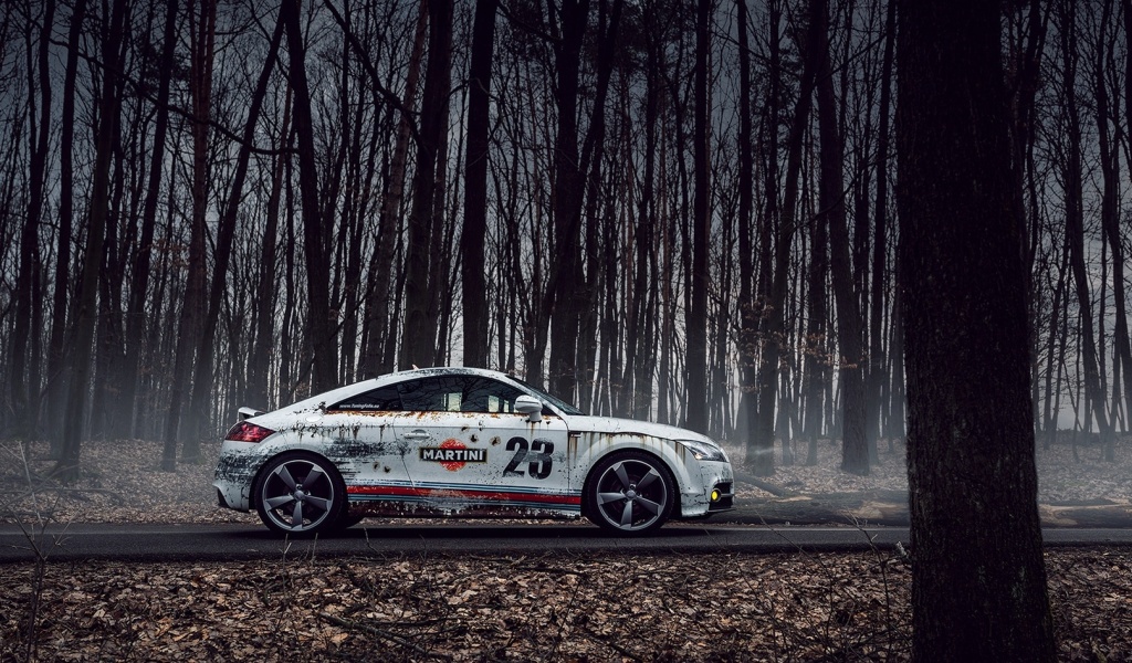 Das Audi TT Rally Wallpaper 1024x600