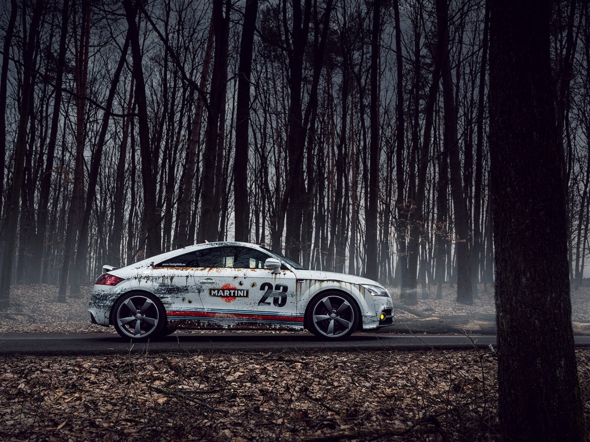 Audi TT Rally wallpaper 1152x864