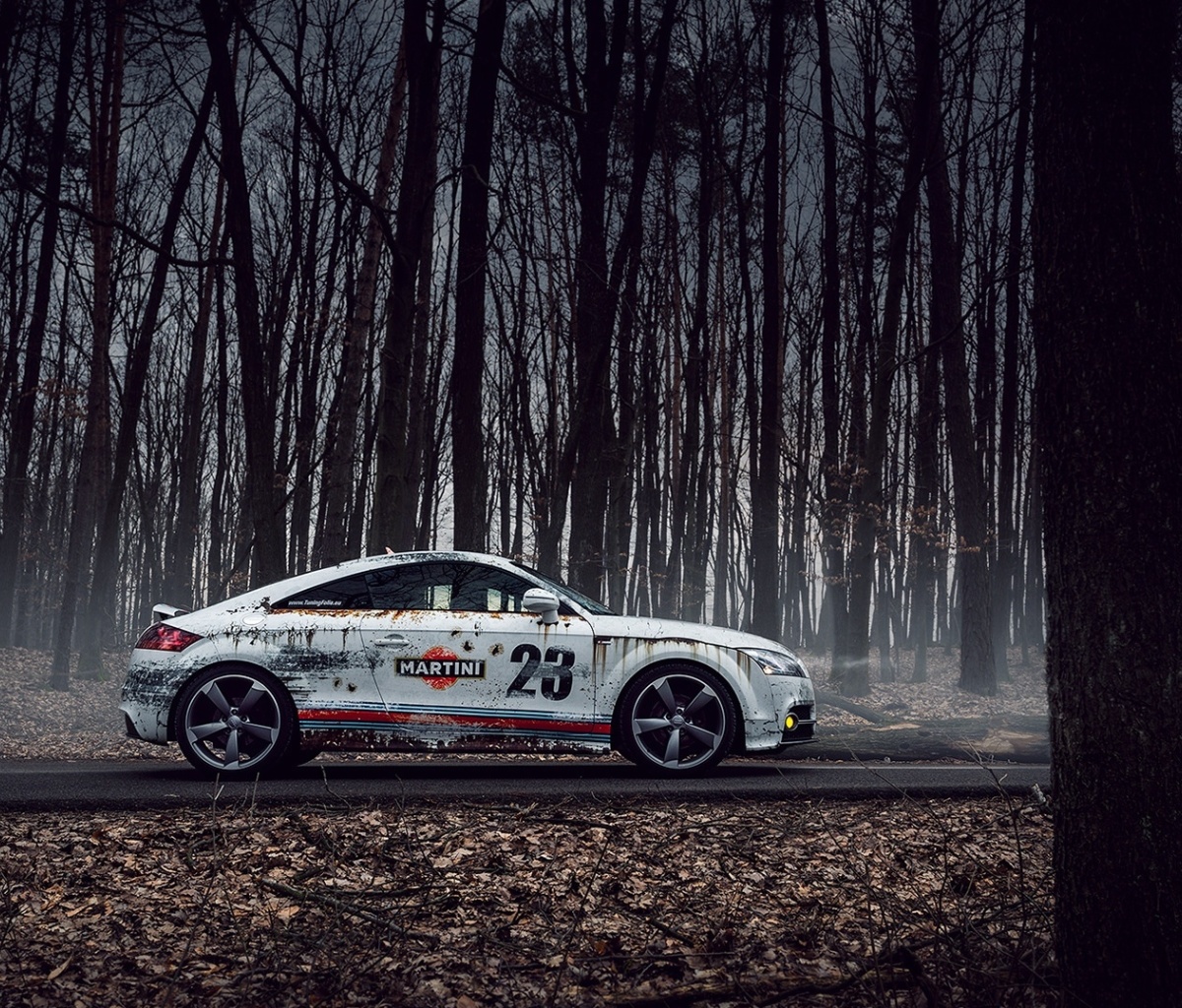 Sfondi Audi TT Rally 1200x1024