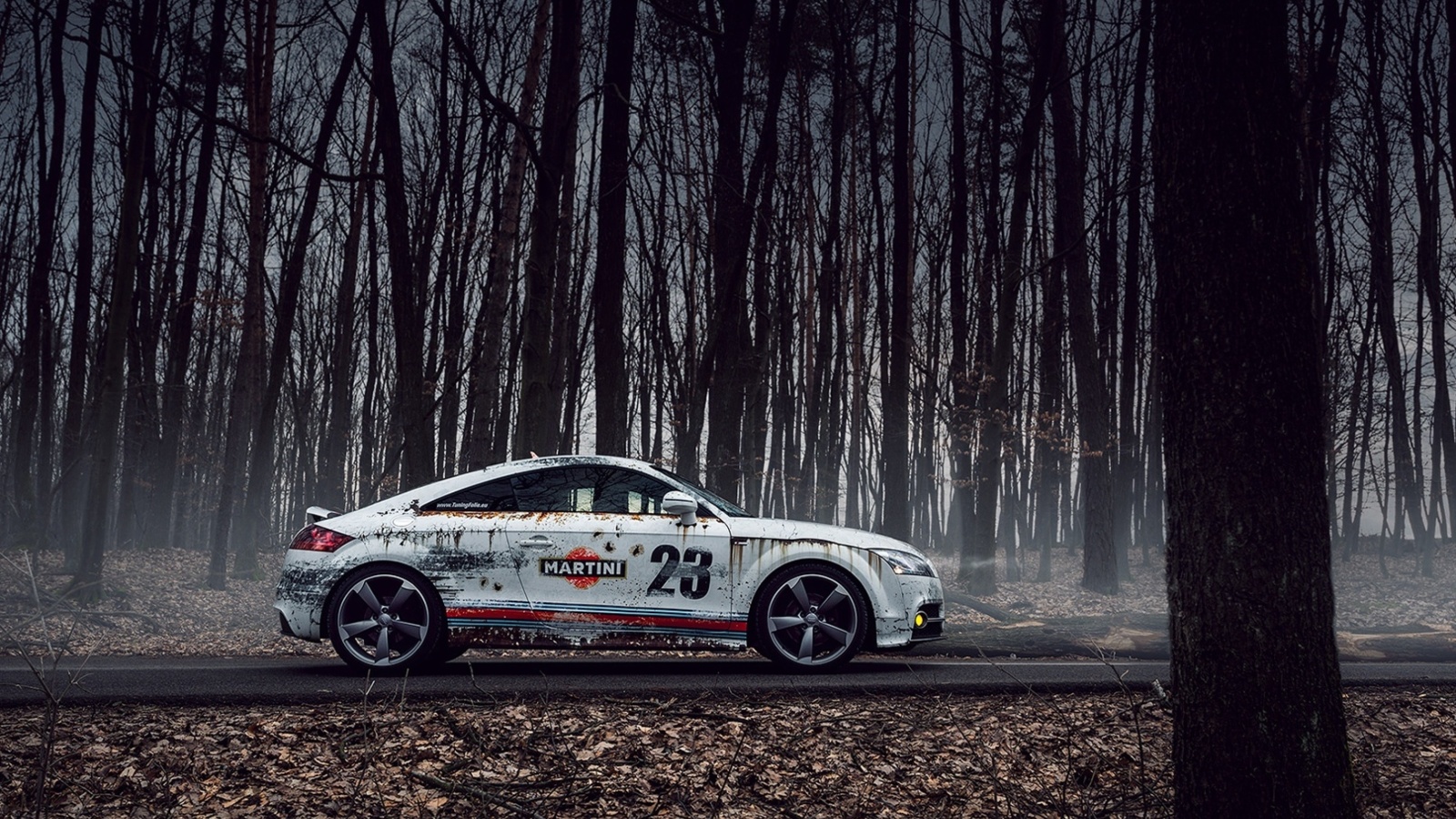 Fondo de pantalla Audi TT Rally 1600x900