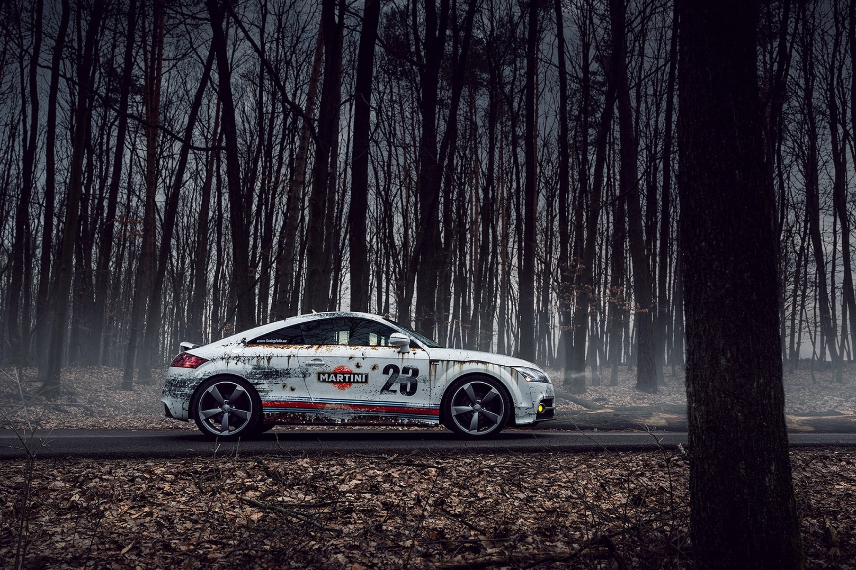 Audi TT Rally screenshot #1 2880x1920