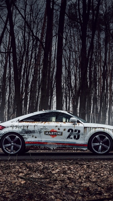 Sfondi Audi TT Rally 360x640