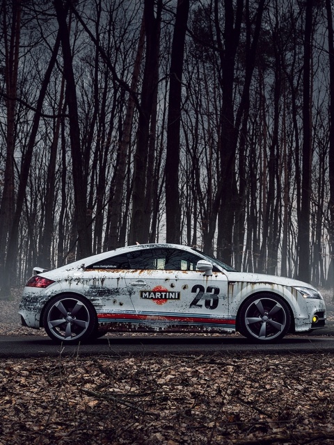 Audi TT Rally screenshot #1 480x640