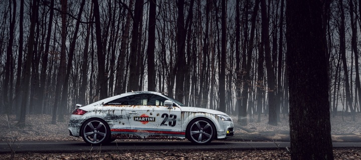 Sfondi Audi TT Rally 720x320