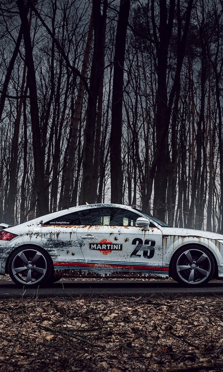 Fondo de pantalla Audi TT Rally 768x1280