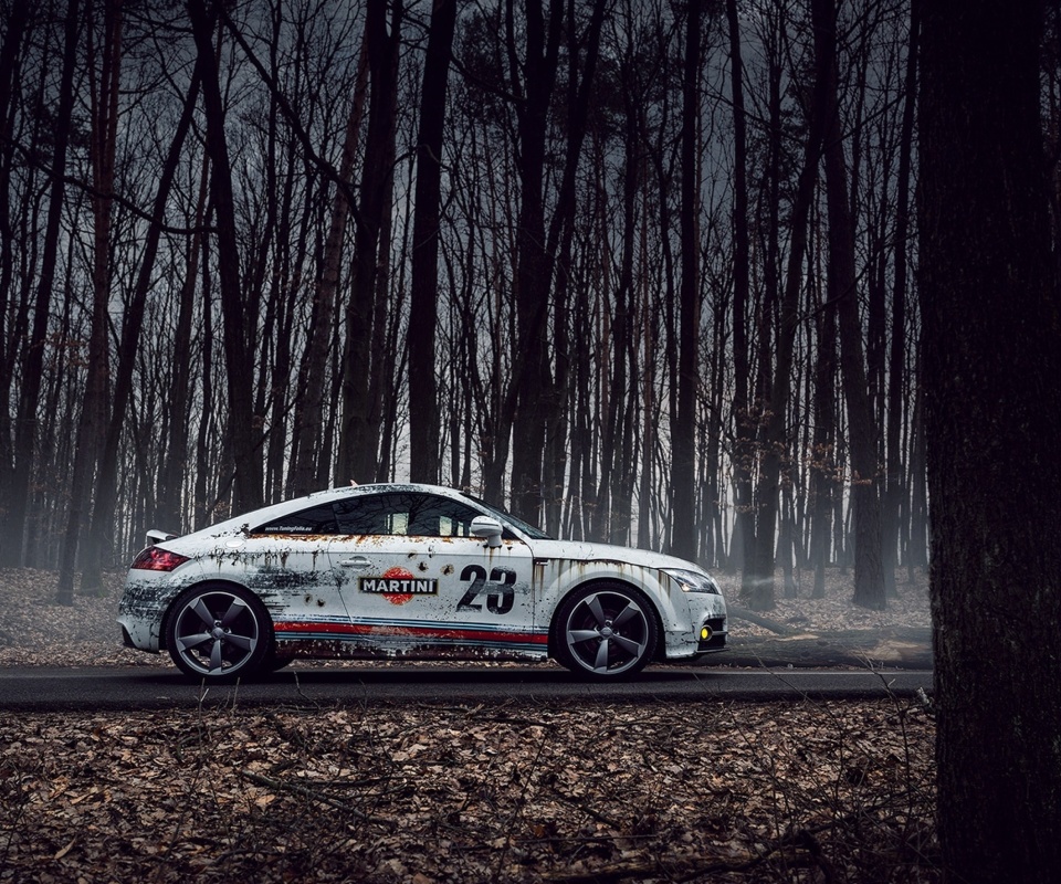 Audi TT Rally screenshot #1 960x800