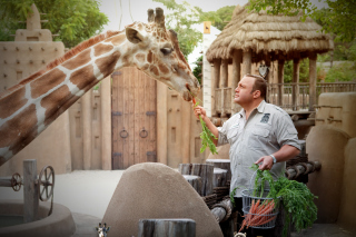 Free Zookeeper Picture for Android, iPhone and iPad