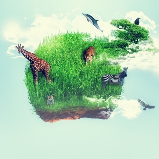 Kostenloses Wildlife Wallpaper für iPad 2