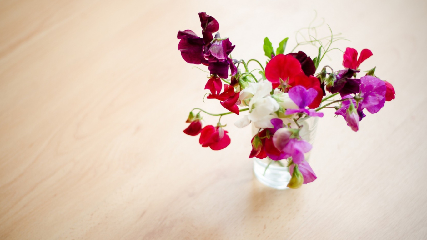 Bright Flowers On Table screenshot #1 1366x768