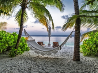 Sfondi Hammock At Maldives Beach 320x240