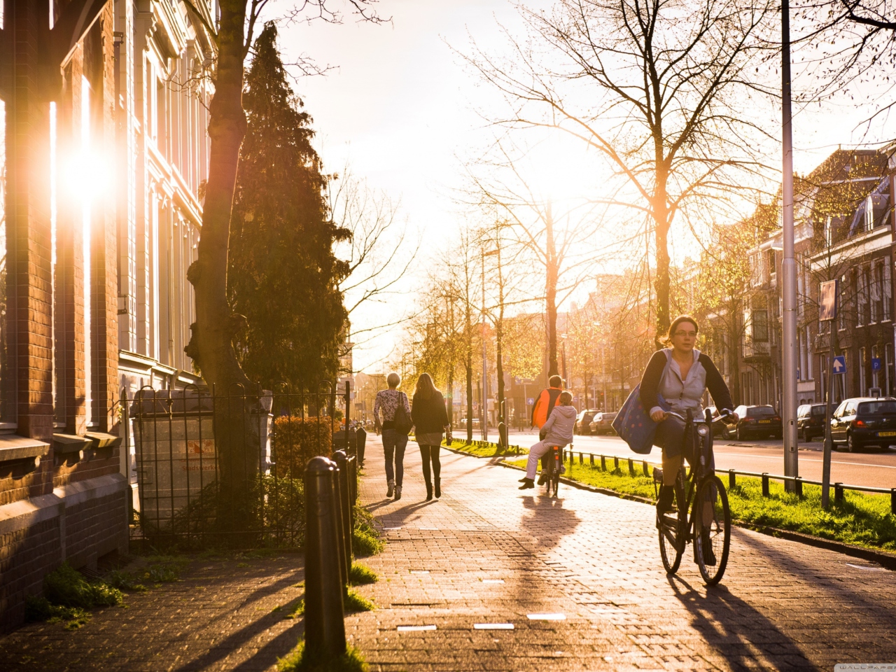 Sfondi Utrecht - Dutch province 1280x960