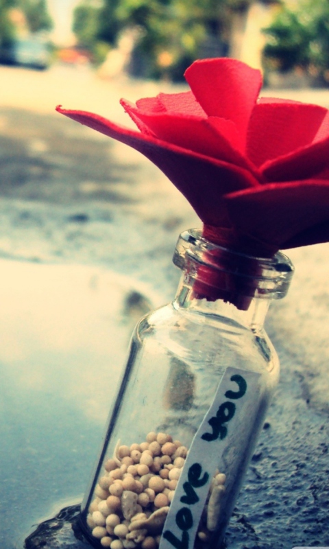 Love You Message In A Bottle wallpaper 480x800