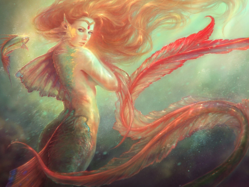 Screenshot №1 pro téma Mermaid Painting 800x600