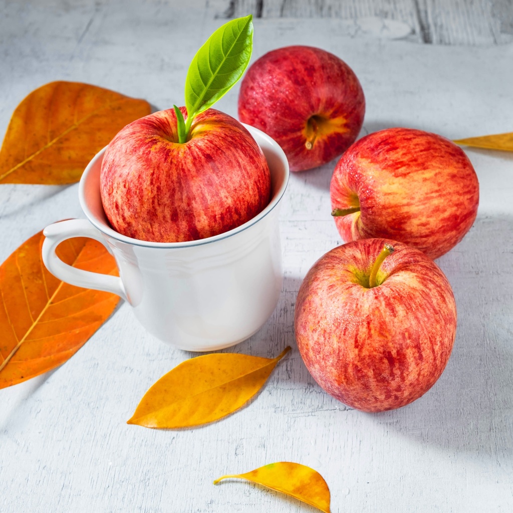 Autumn apples wallpaper 1024x1024