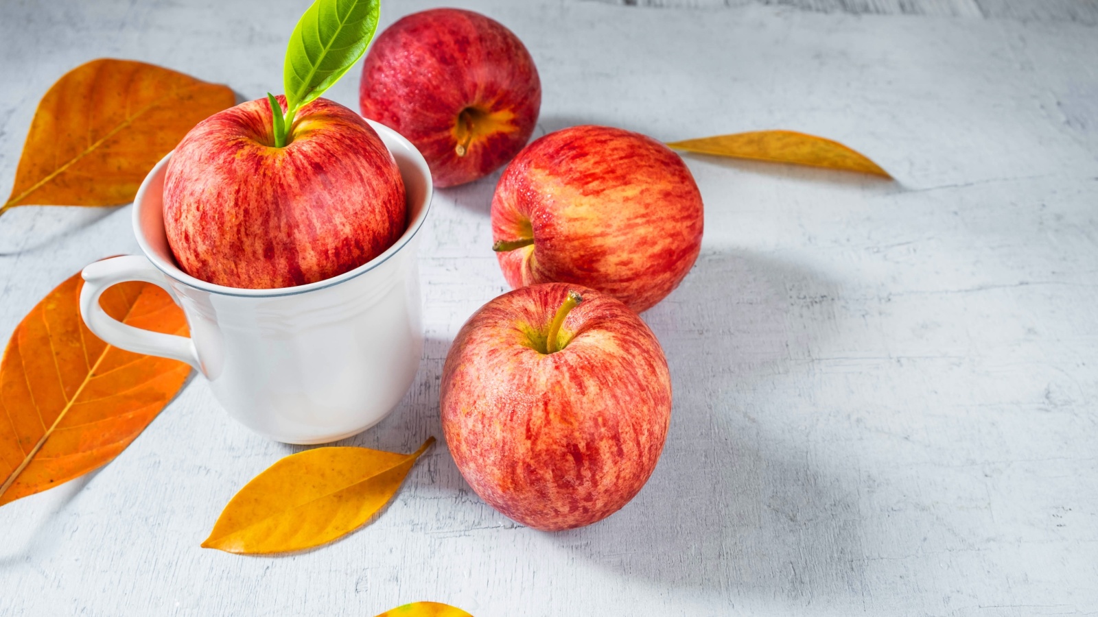 Autumn apples wallpaper 1600x900