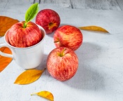 Обои Autumn apples 176x144