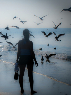 Screenshot №1 pro téma Girl And Seagulls 240x320