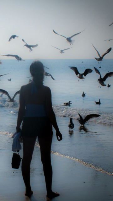 Girl And Seagulls wallpaper 360x640