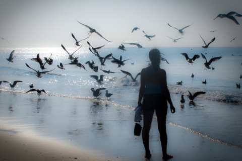 Screenshot №1 pro téma Girl And Seagulls 480x320