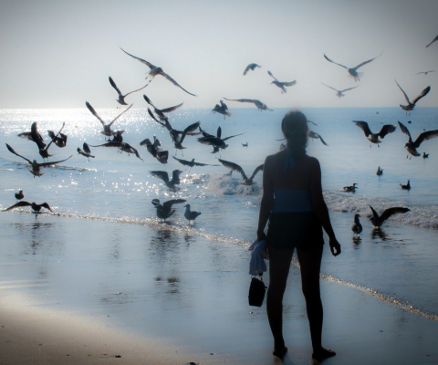 Screenshot №1 pro téma Girl And Seagulls 480x400