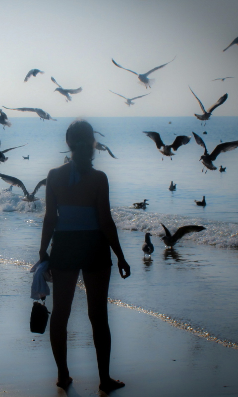 Girl And Seagulls screenshot #1 480x800