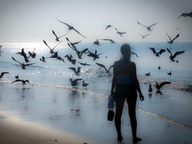 Girl And Seagulls screenshot #1 640x480